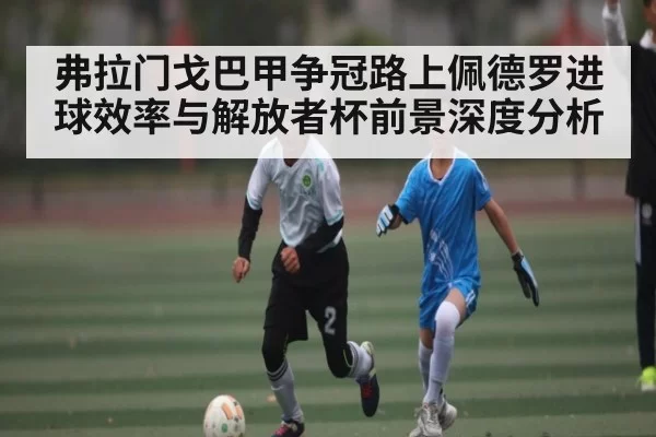 弗拉门戈巴甲争冠路上佩德罗进球效率与解放者杯前景深度分析
